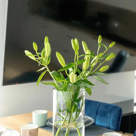 Apartmán Stylish Wyspa Solna By Renters Prestige Kolobřeh